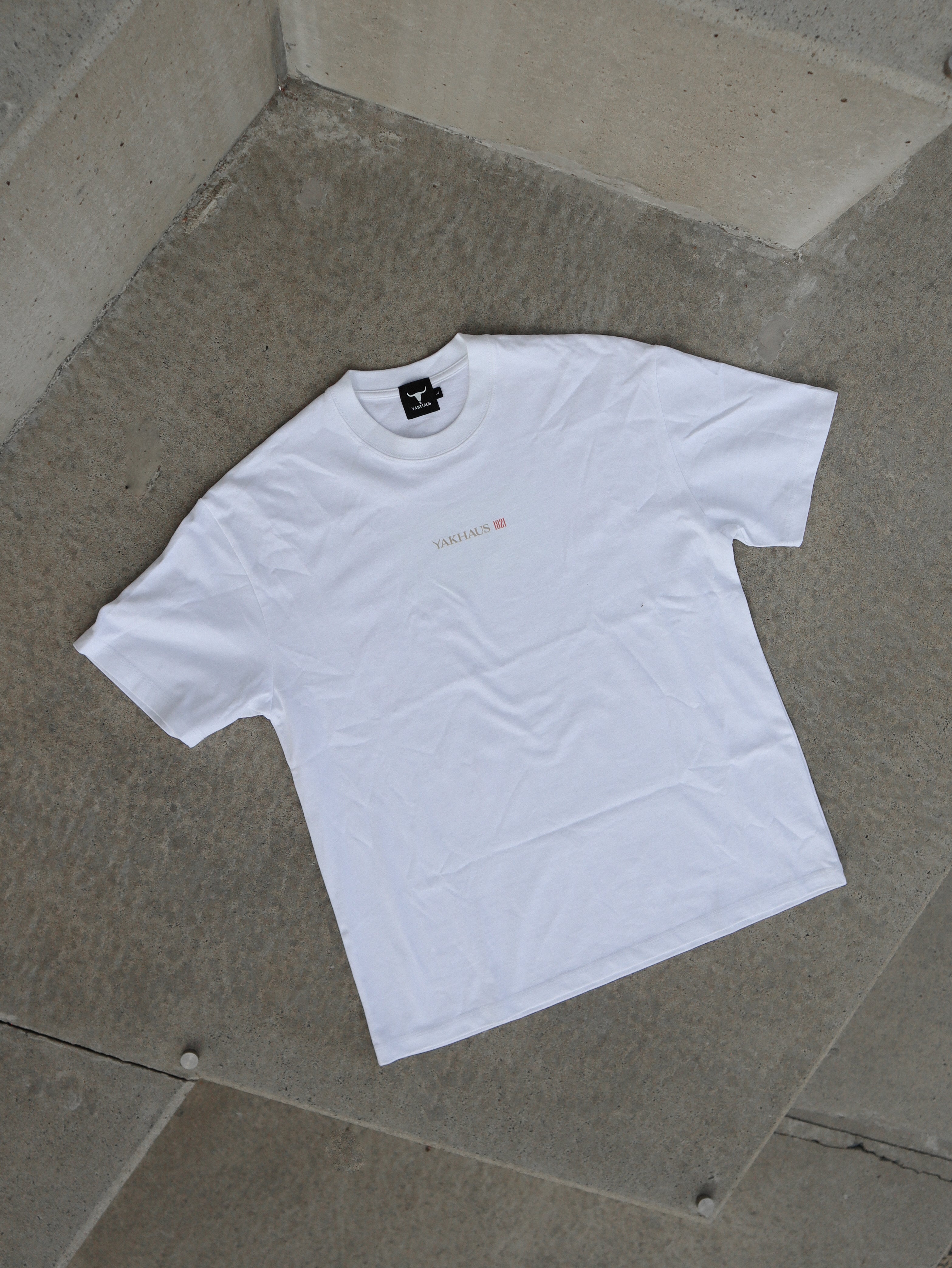 Mystical Bird (Karyōbinga) Oversized T-Shirt