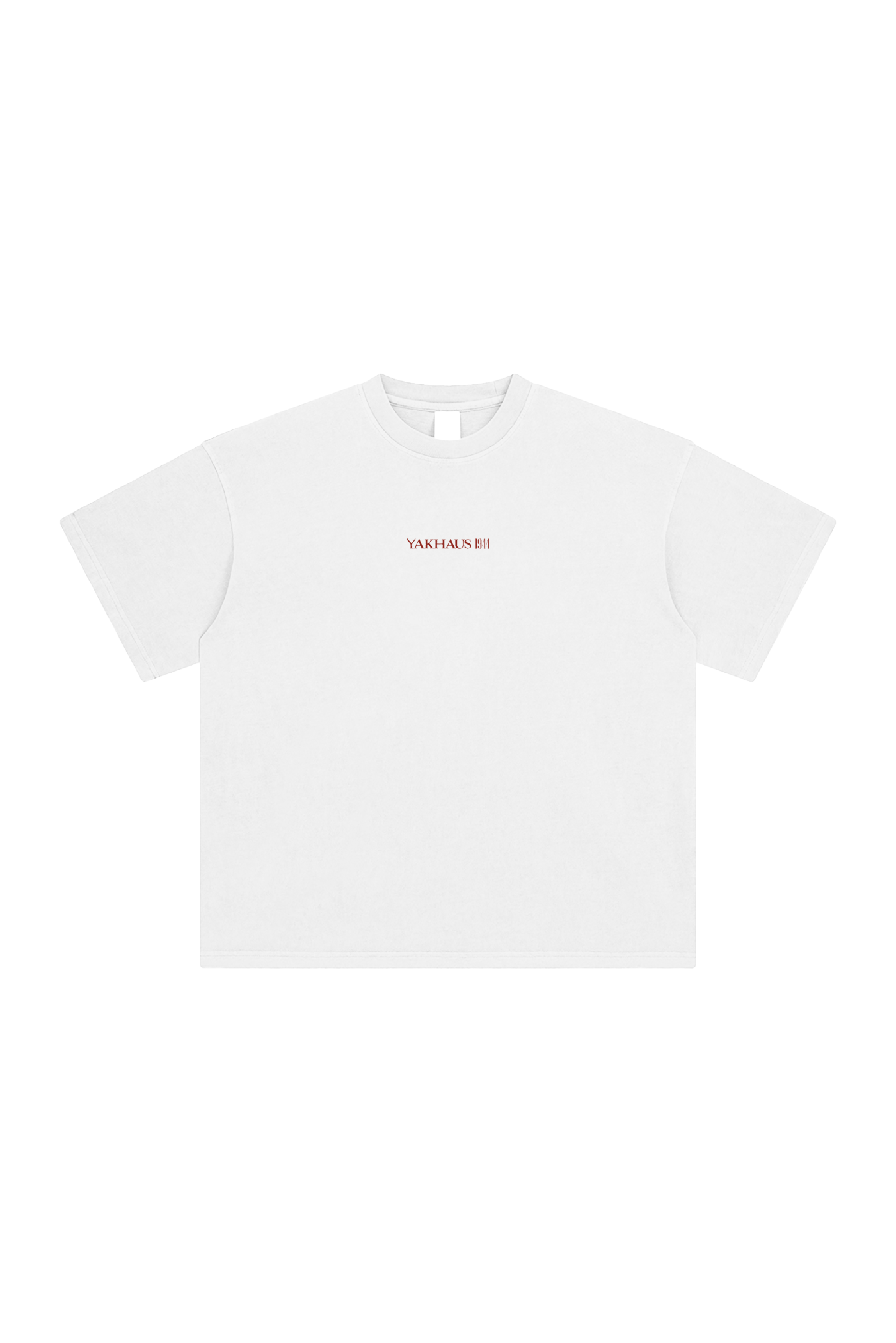 Do it for the plot - Oversize T-Shirt with Calavera of Francisco Madero print | YAKHAUS